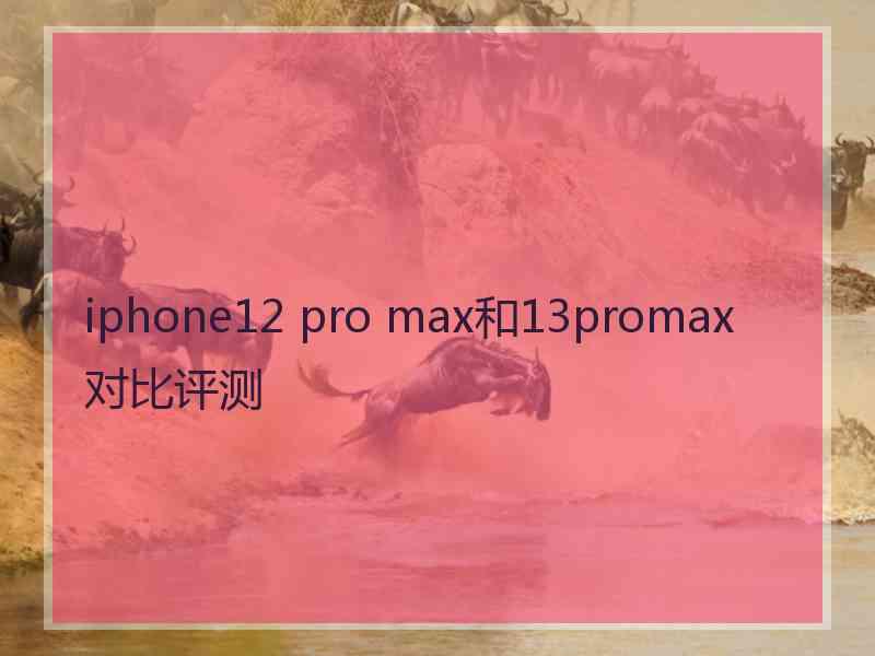 iphone12 pro max和13promax对比评测