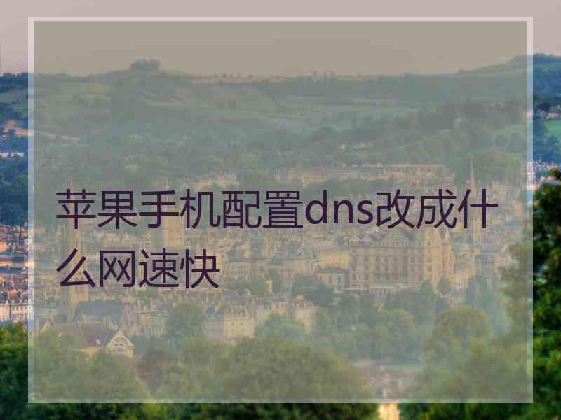 苹果手机配置dns改成什么网速快