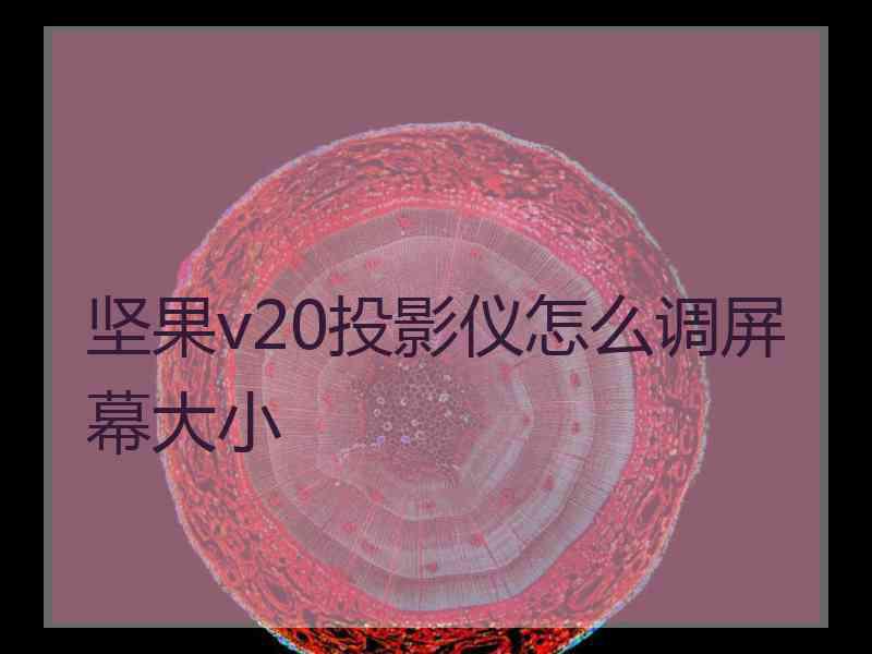 坚果v20投影仪怎么调屏幕大小