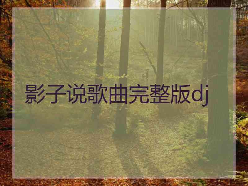 影子说歌曲完整版dj