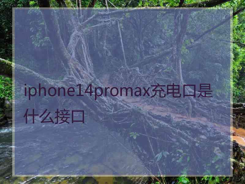 iphone14promax充电口是什么接口