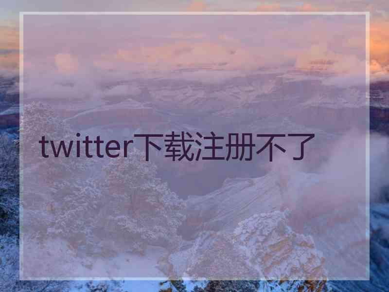 twitter下载注册不了