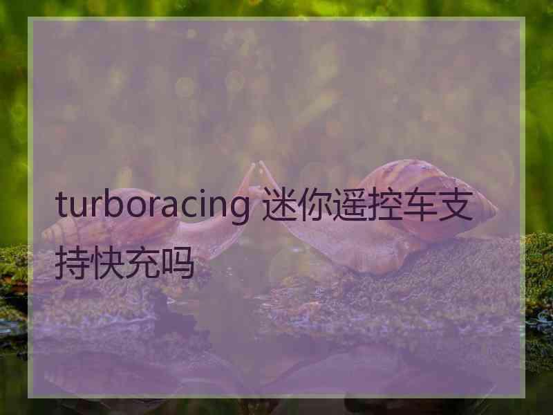 turboracing 迷你遥控车支持快充吗