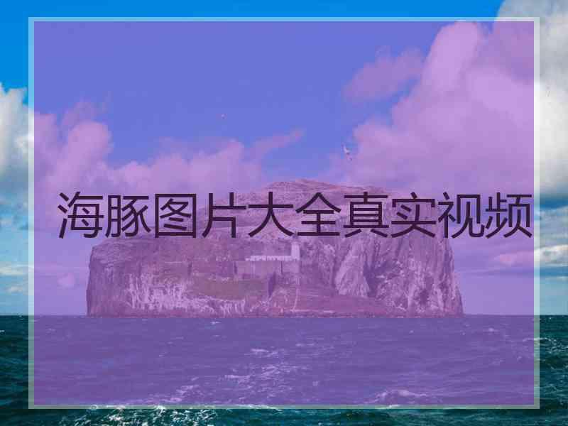 海豚图片大全真实视频