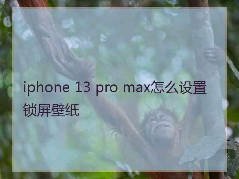 iphone 13 pro max怎么设置锁屏壁纸