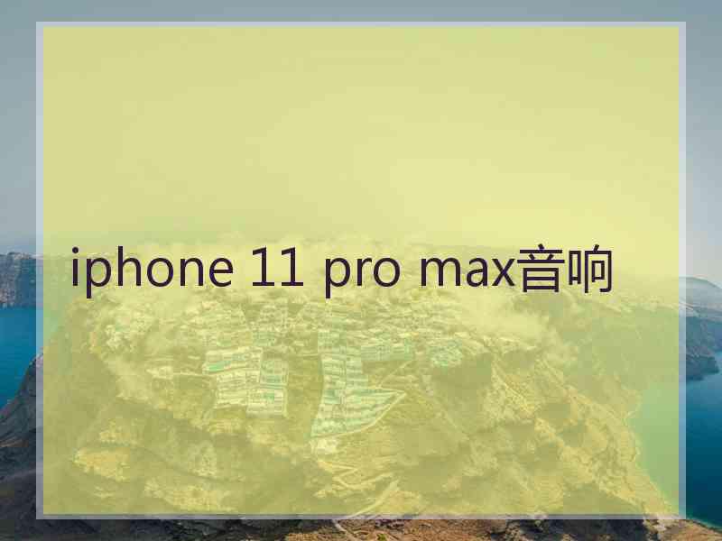 iphone 11 pro max音响