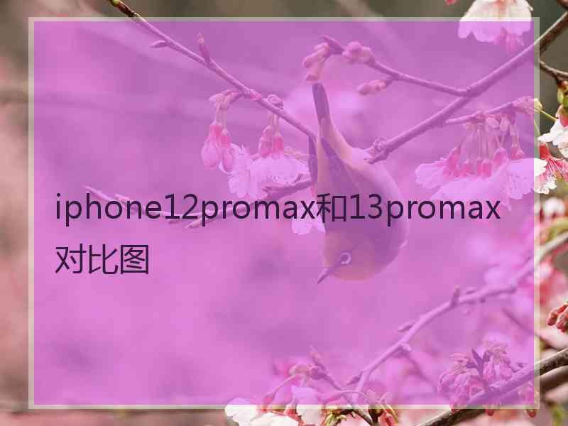 iphone12promax和13promax对比图