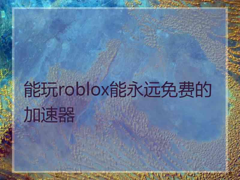 能玩roblox能永远免费的加速器