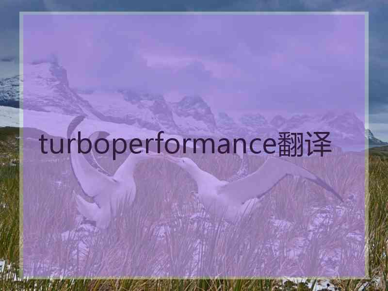 turboperformance翻译