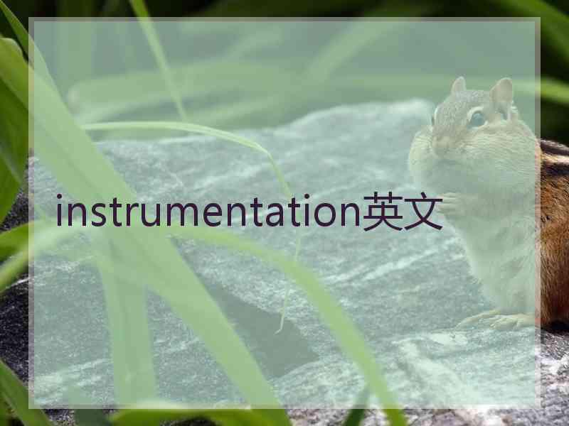 instrumentation英文