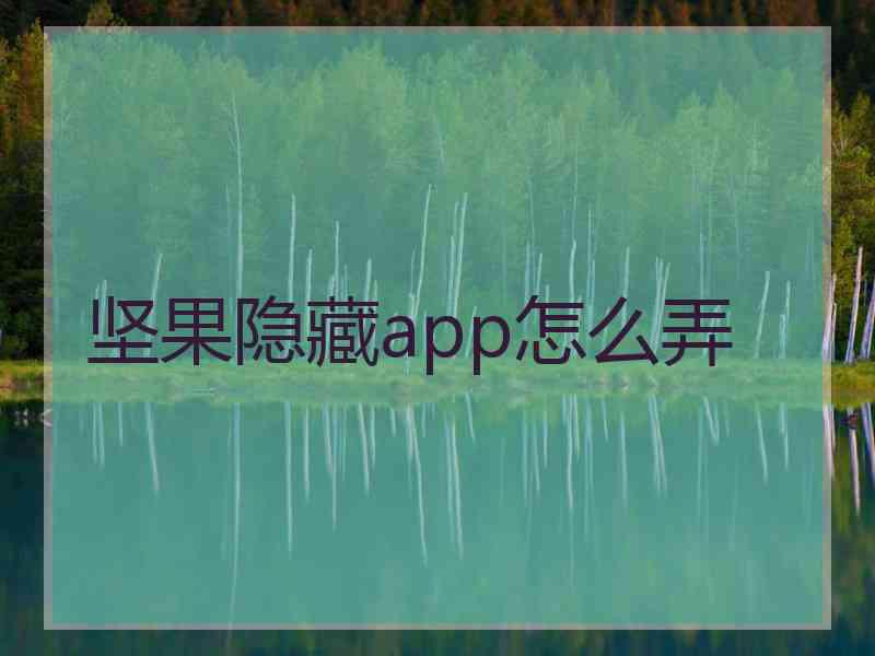 坚果隐藏app怎么弄