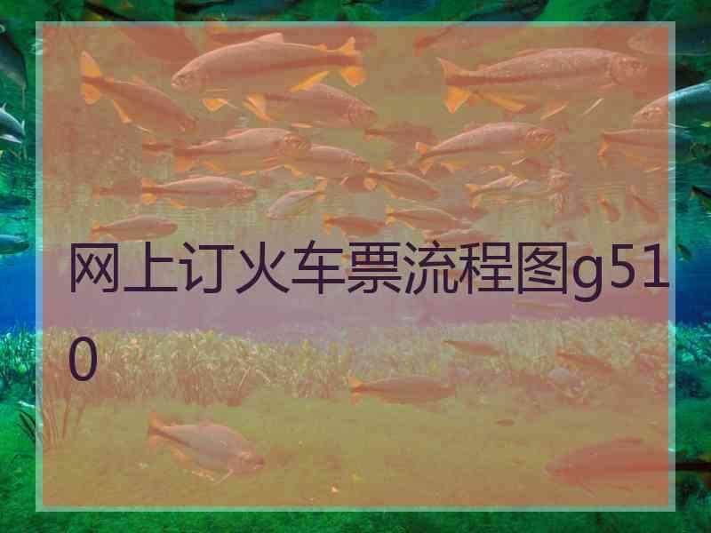 网上订火车票流程图g510