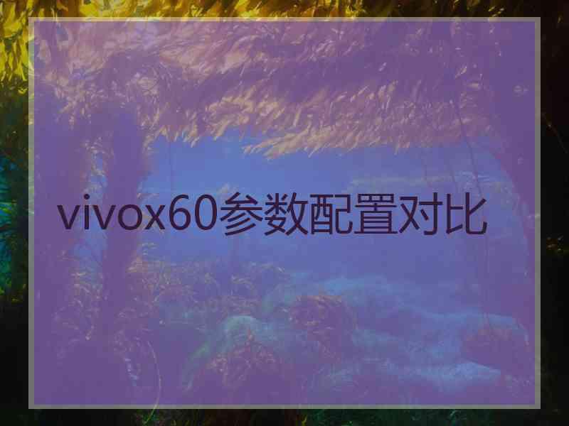 vivox60参数配置对比