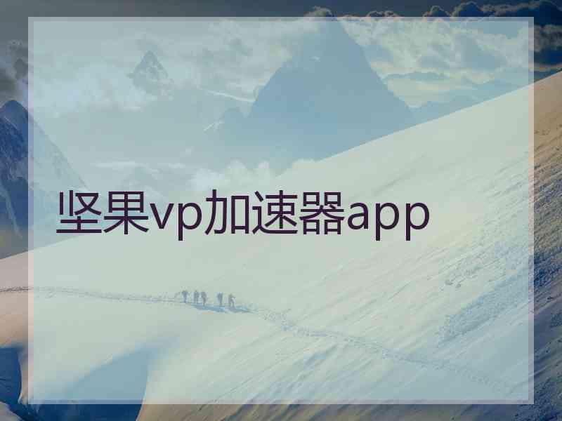 坚果vp加速器app