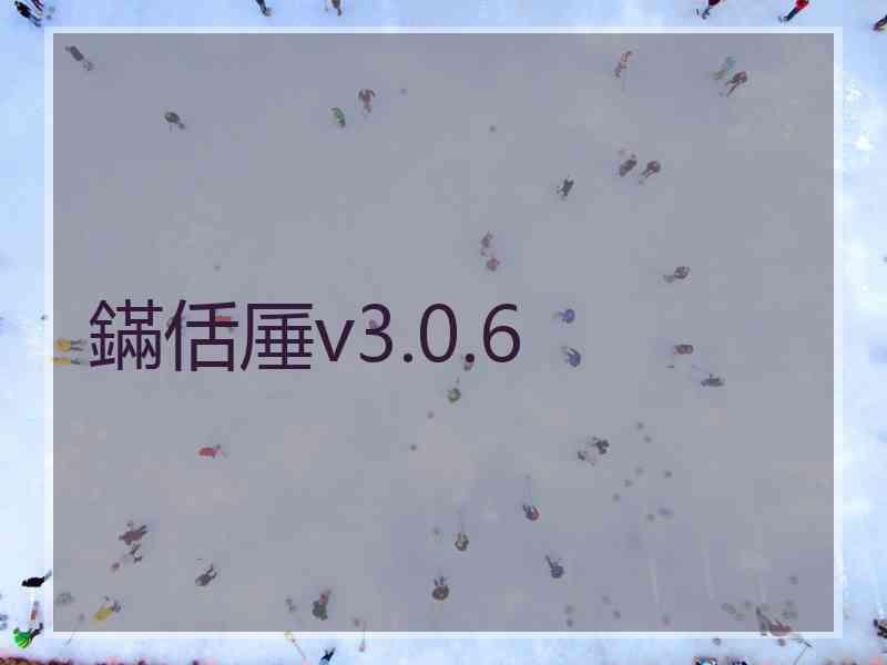 鏋佸厜v3.0.6