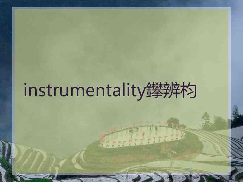 instrumentality鑻辨枃