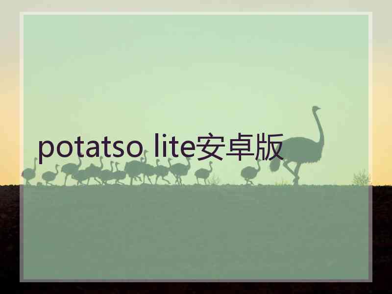 potatso lite安卓版