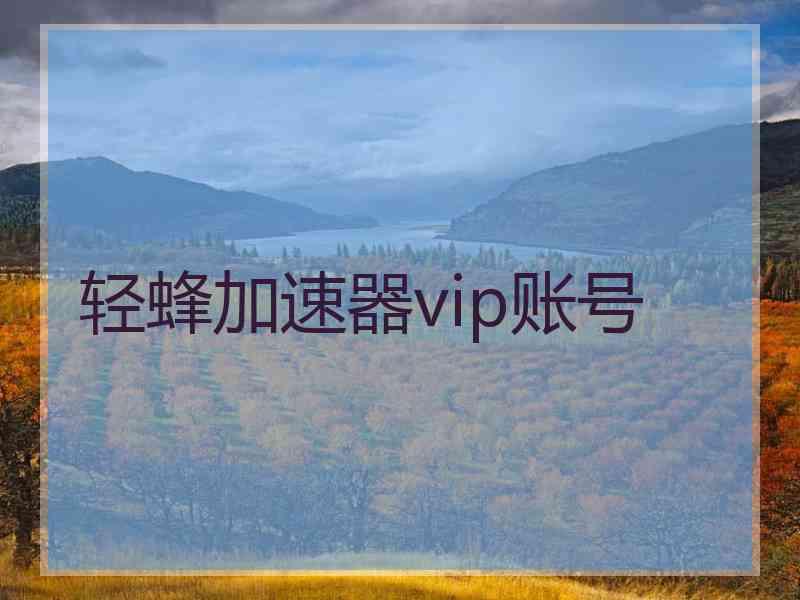 轻蜂加速器vip账号