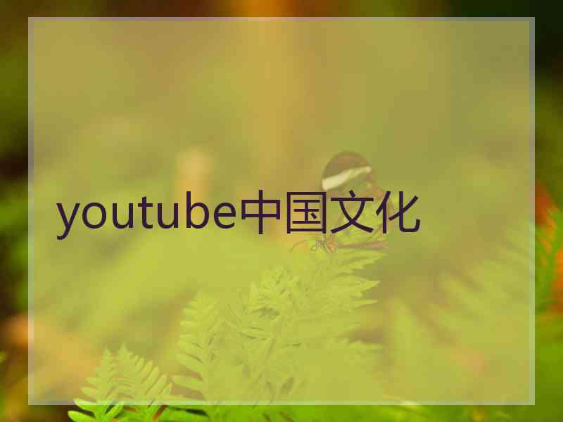 youtube中国文化