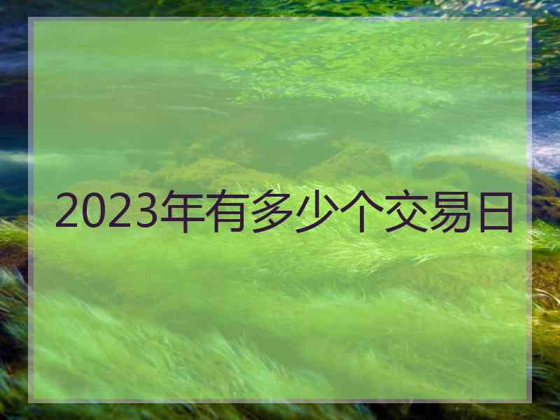 2023年有多少个交易日