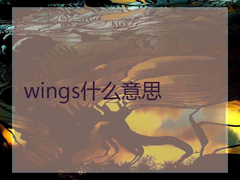 wings什么意思