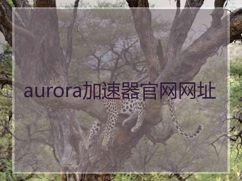 aurora加速器官网网址