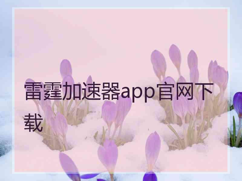 雷霆加速器app官网下载