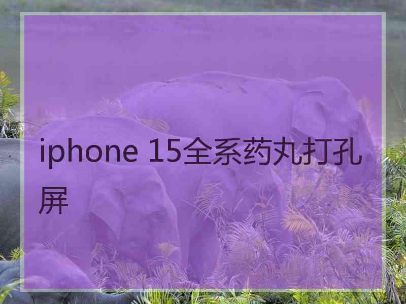 iphone 15全系药丸打孔屏