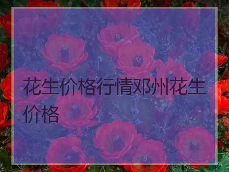 花生价格行情邓州花生价格