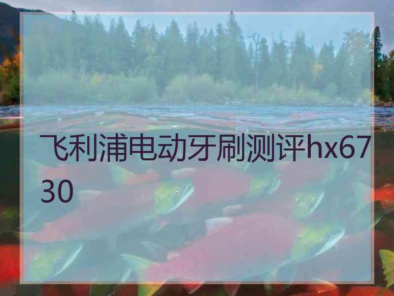 飞利浦电动牙刷测评hx6730