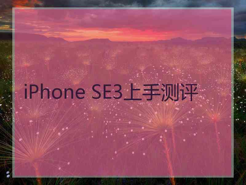 iPhone SE3上手测评