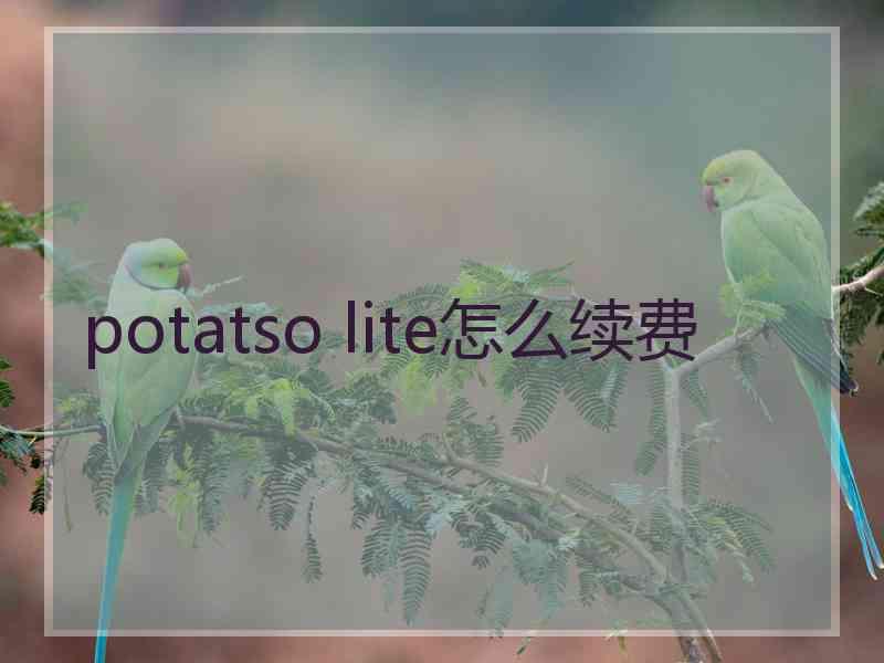 potatso lite怎么续费