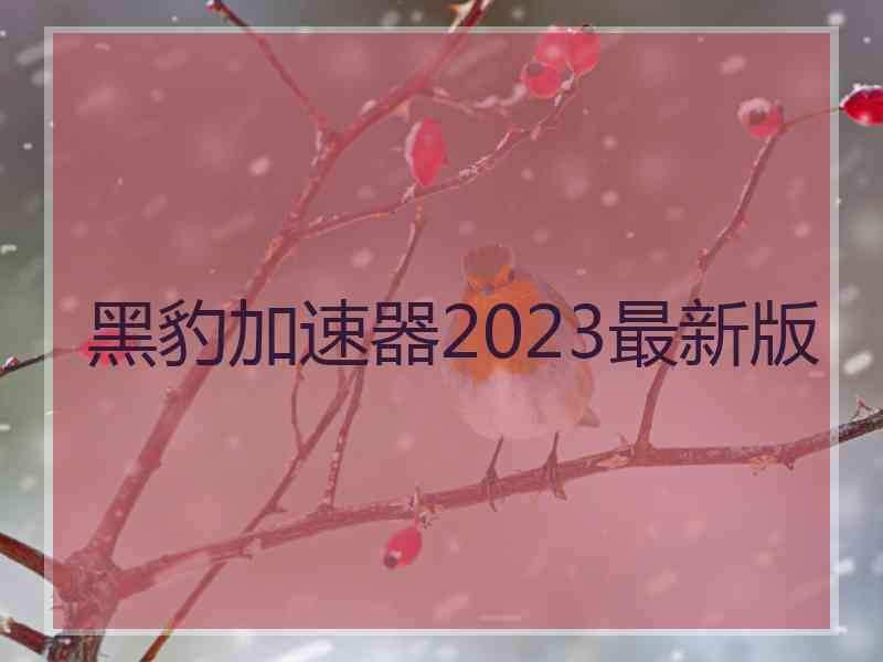 黑豹加速器2023最新版