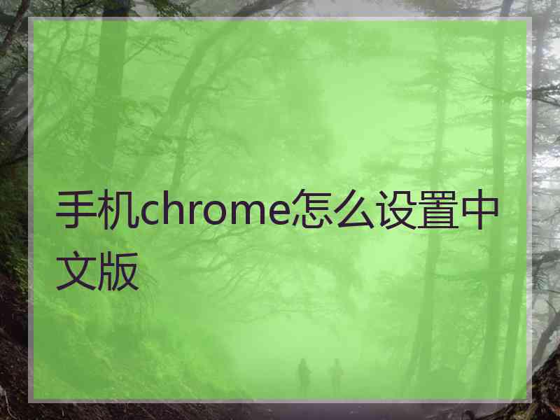 手机chrome怎么设置中文版