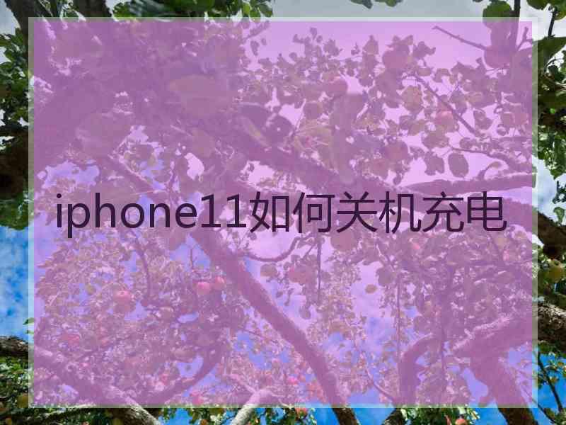 iphone11如何关机充电