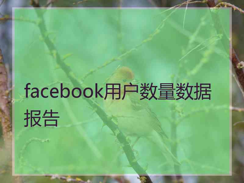 facebook用户数量数据报告