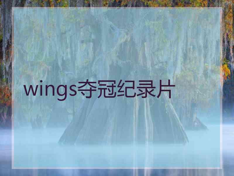 wings夺冠纪录片