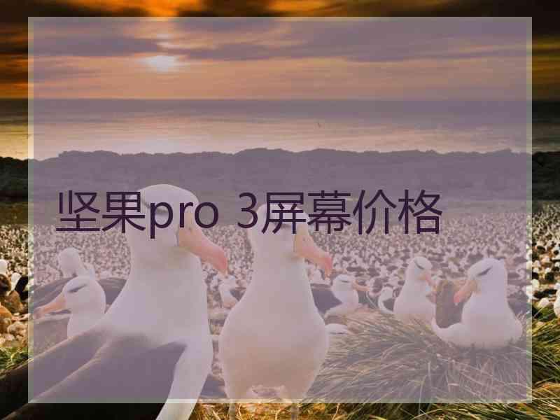 坚果pro 3屏幕价格