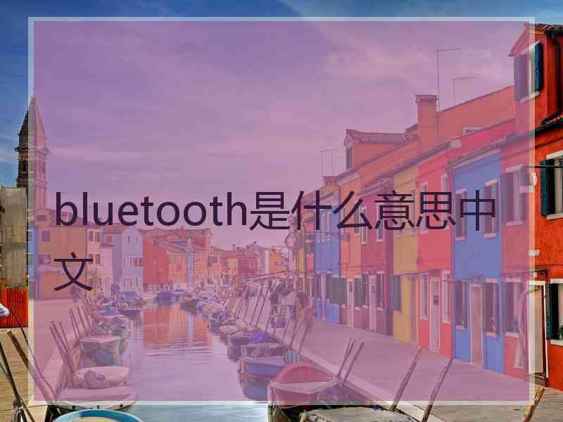 bluetooth是什么意思中文