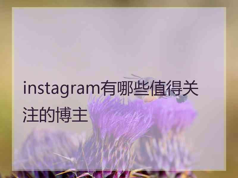 instagram有哪些值得关注的博主