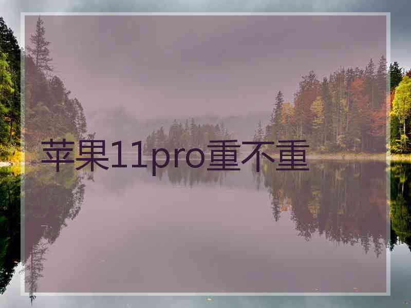 苹果11pro重不重