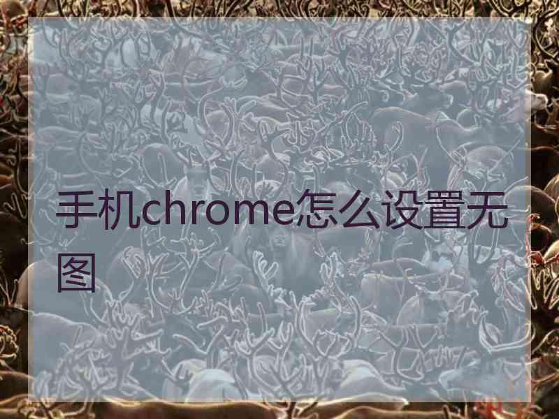 手机chrome怎么设置无图