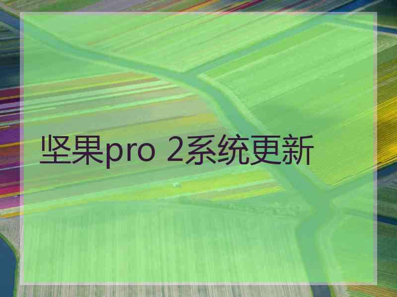 坚果pro 2系统更新