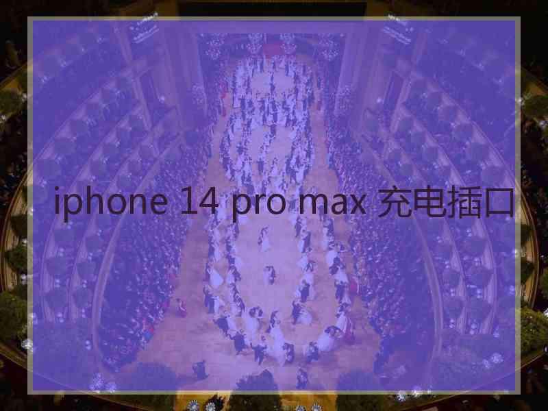 iphone 14 pro max 充电插口