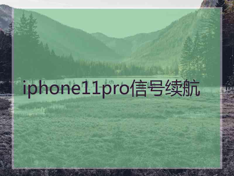 iphone11pro信号续航