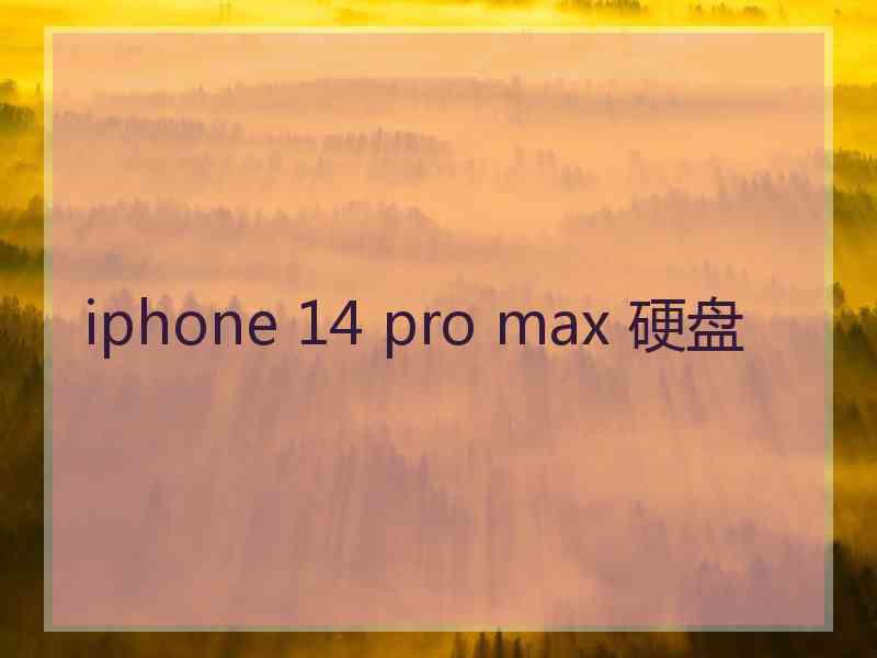 iphone 14 pro max 硬盘