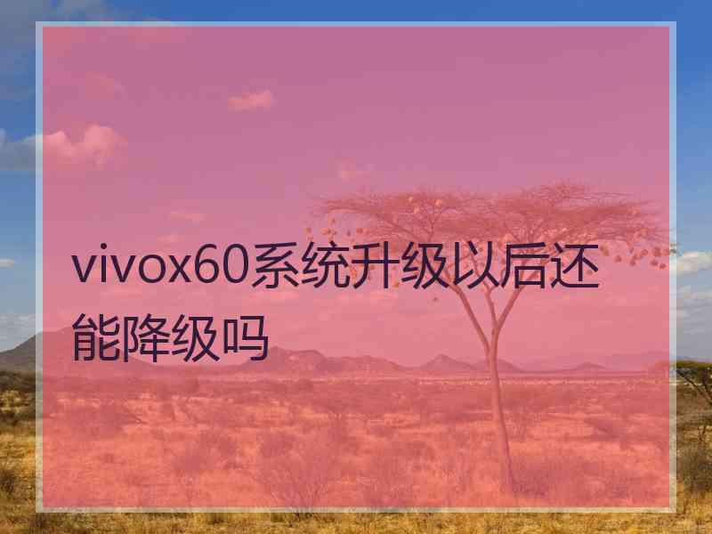 vivox60系统升级以后还能降级吗