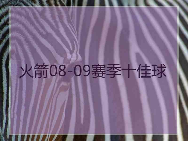 火箭08-09赛季十佳球