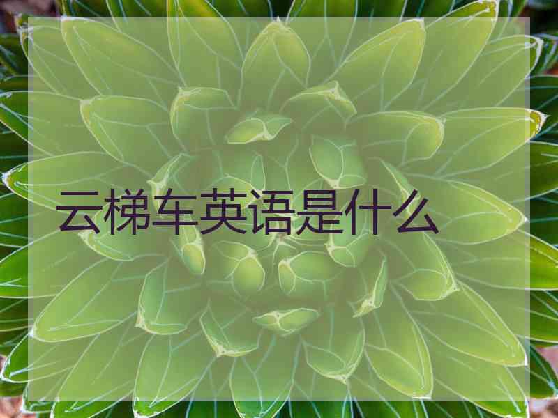 云梯车英语是什么