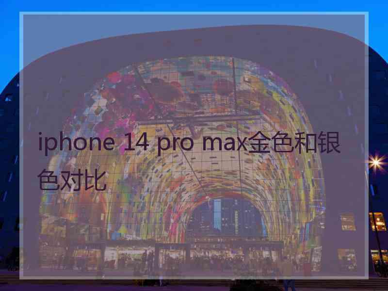 iphone 14 pro max金色和银色对比